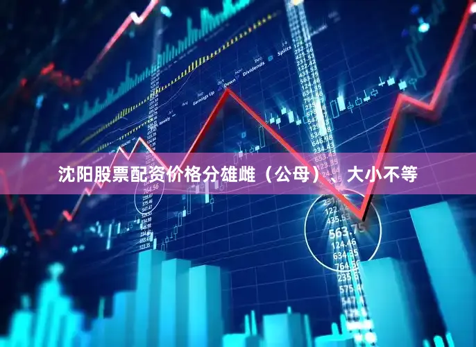 沈阳股票配资价格分雄雌（公母）、大小不等