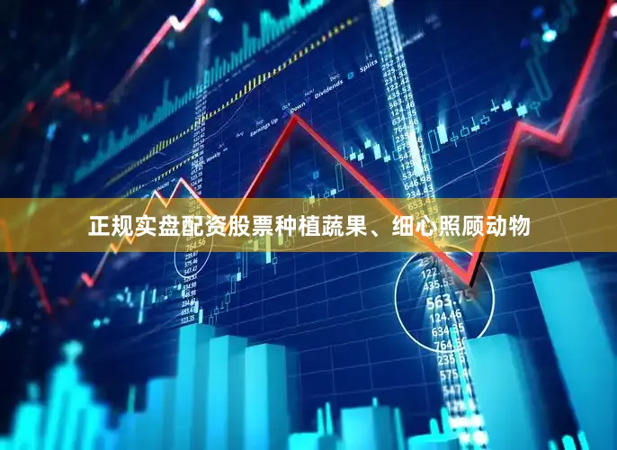 正规实盘配资股票种植蔬果、细心照顾动物