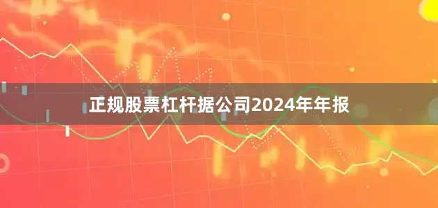 正规股票杠杆据公司2024年年报